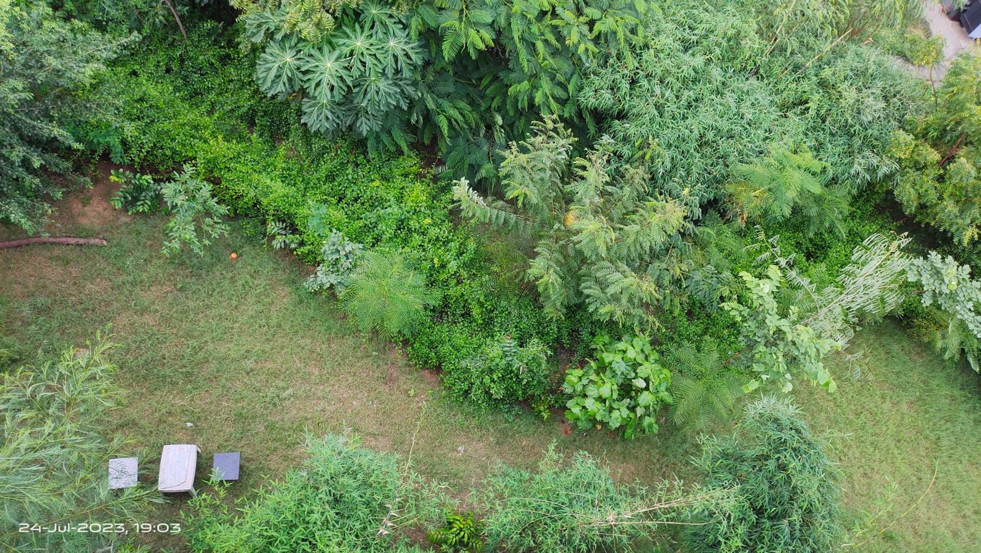 ג'איפור Osho Villa Guest House מראה חיצוני תמונה